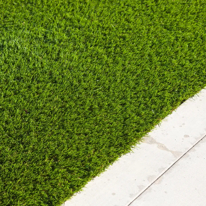 turf - synthetic grass