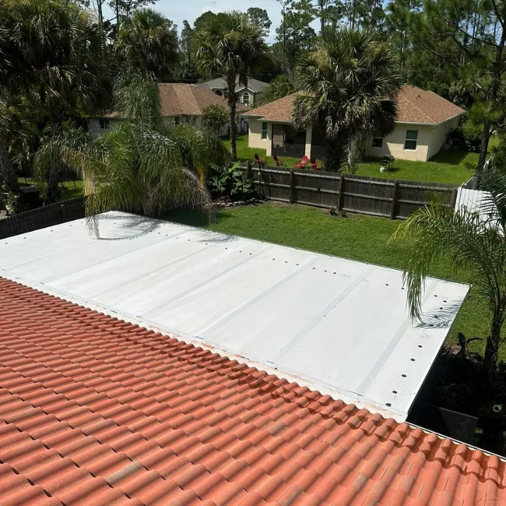 roof softwash palm coast