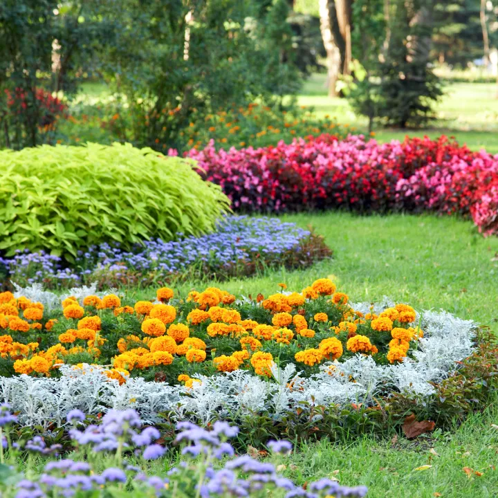 Landscaping in Deltona
