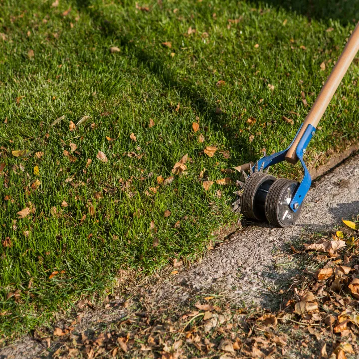 Law clean-ups in Deltona