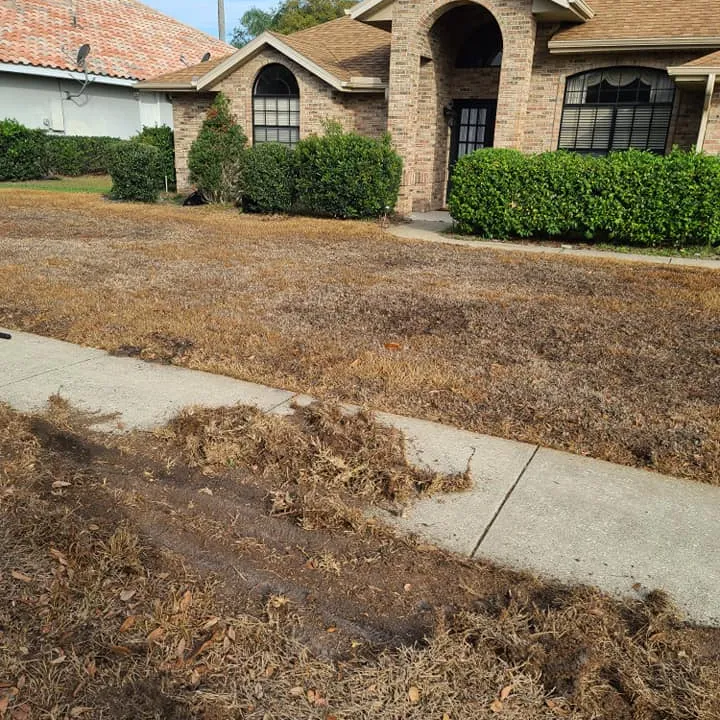 Residential grass before new sod