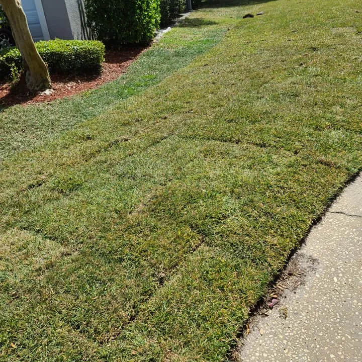 Sod installation in Deltona