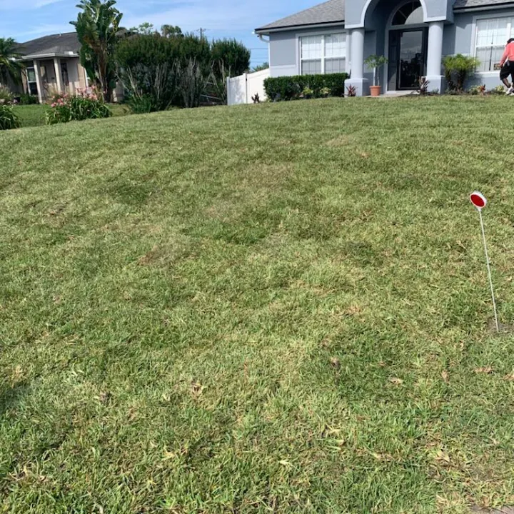 sod in Deltona