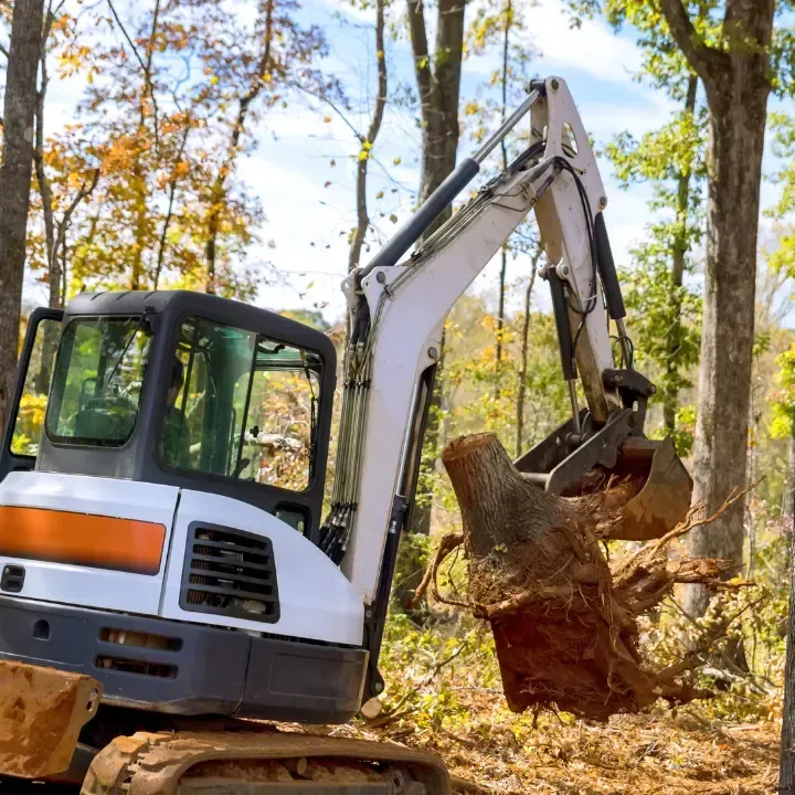 land clearing deltona