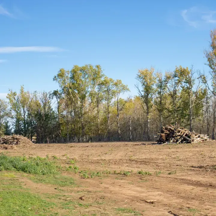 Land Clearing in Deltona