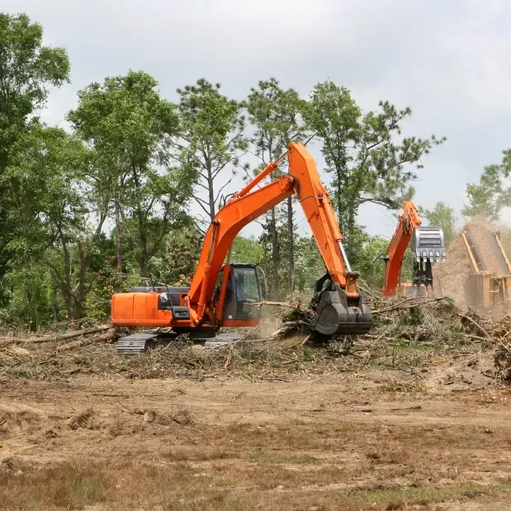 brush, tree and debris removal