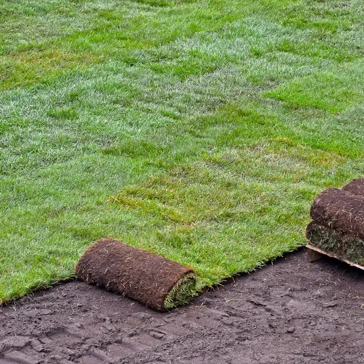 sod installation in Deltona
