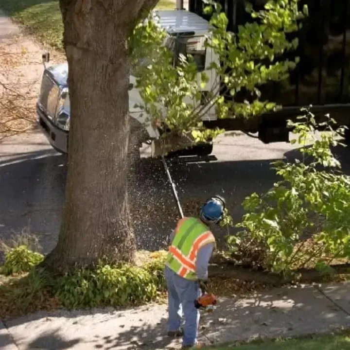 Yard clean ups Deltona