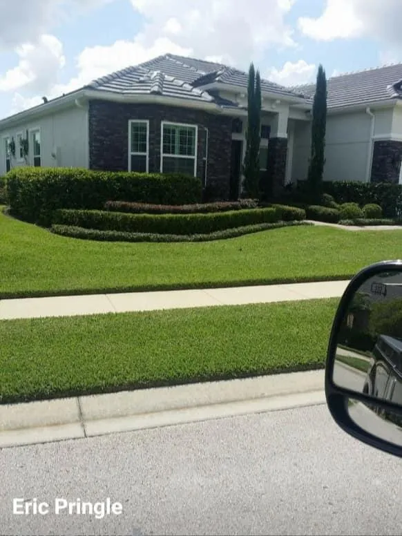 lawn-clean ups