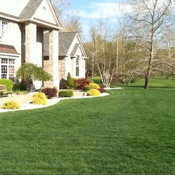 Lawn clean up Deltona