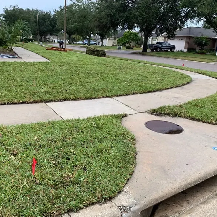 sod deltona