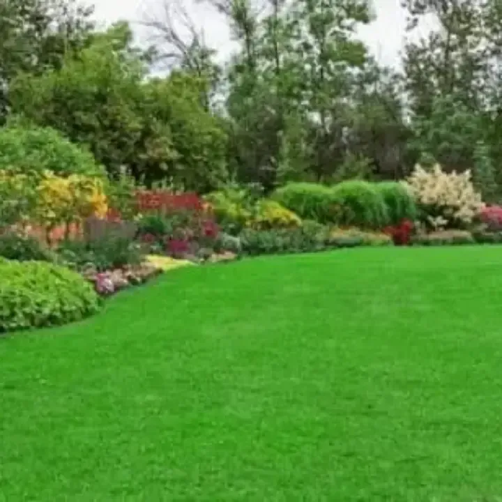 lawn care Deltona
