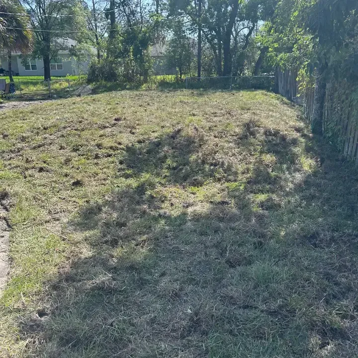 Sod delivery deltona