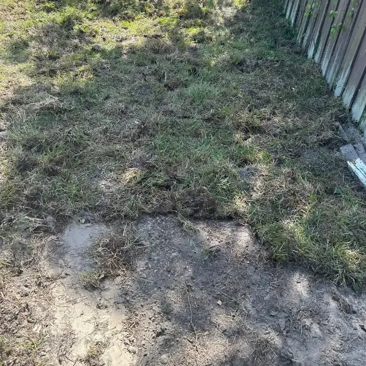 sod installation Deltona