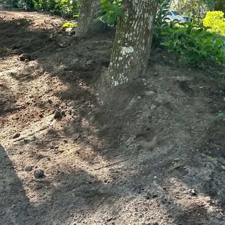 Sod installation Deltona
