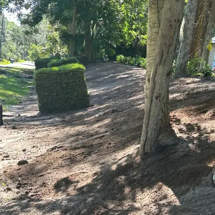 Sod delivery deltona