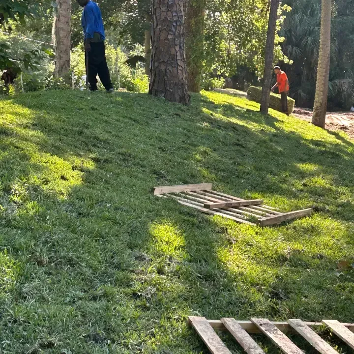 Sod installation Deltona