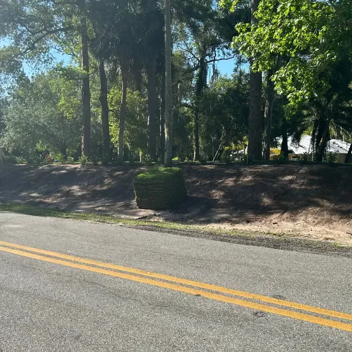 sod installation Deltona