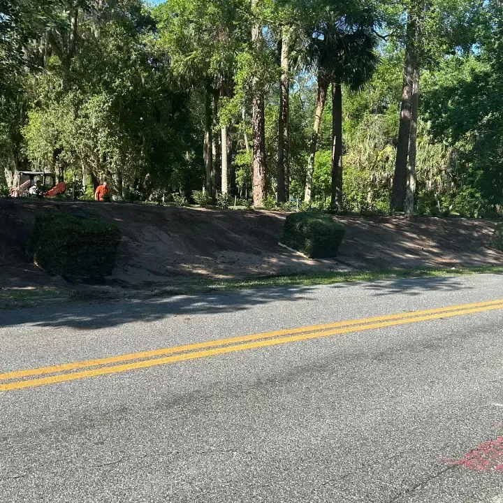 Sod delivery deltona