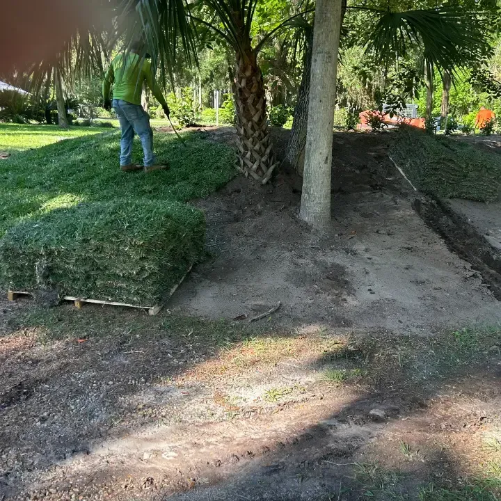 sod installation Deltona