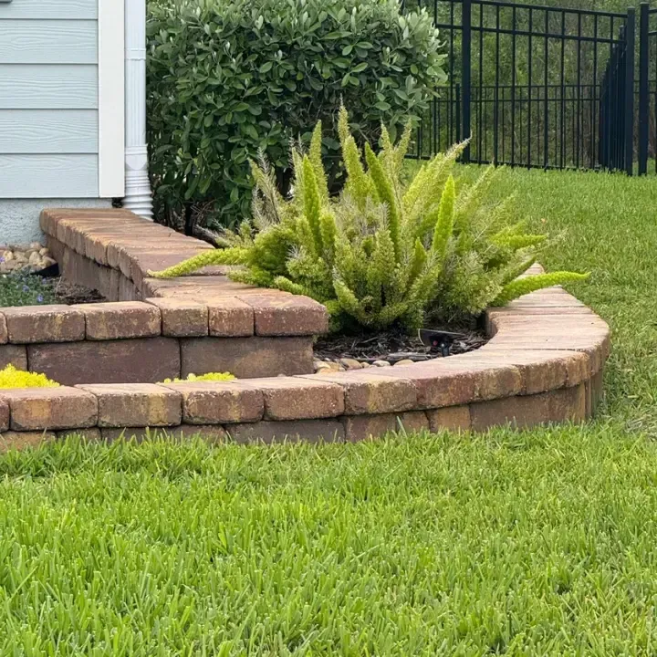 sod St Augustine