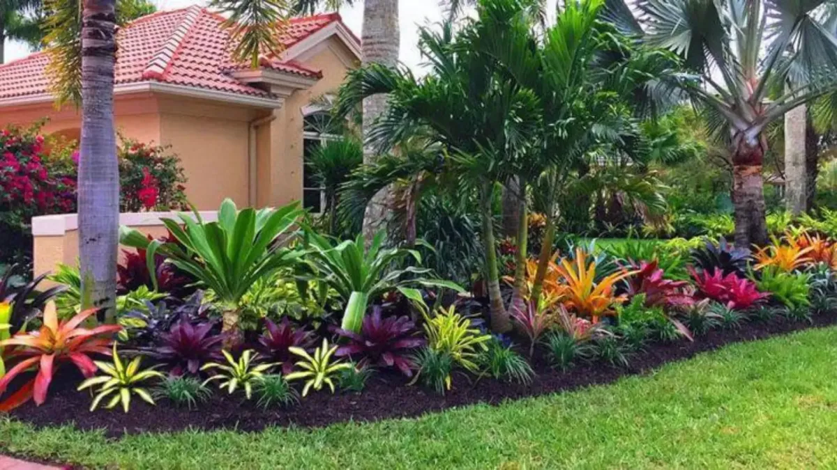 Lawn Care Palm Coast FL