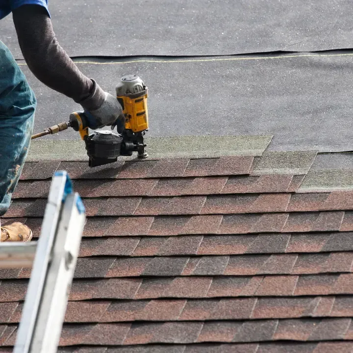 Landscaping in Deltona