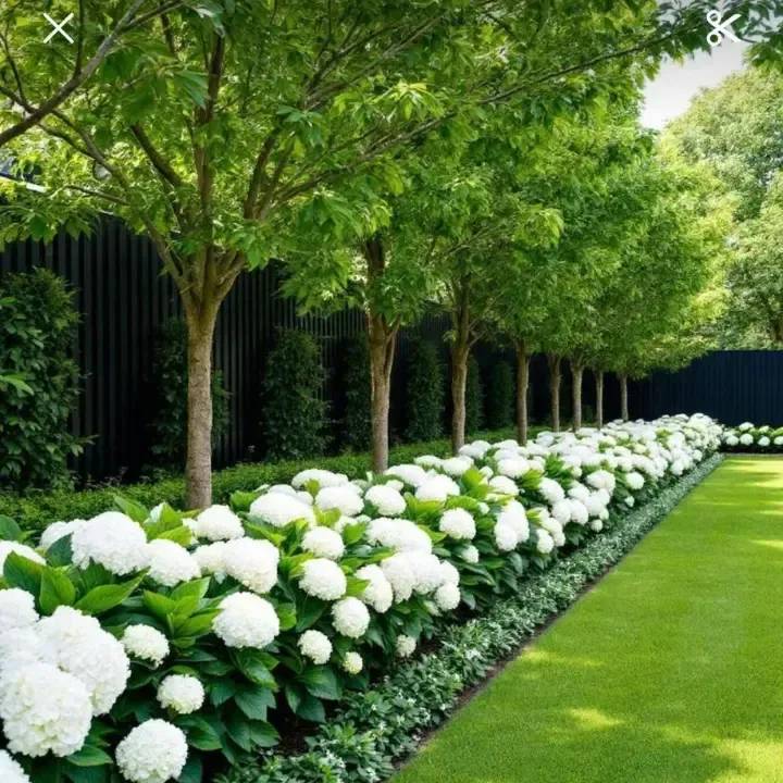 St Augustine landscaping