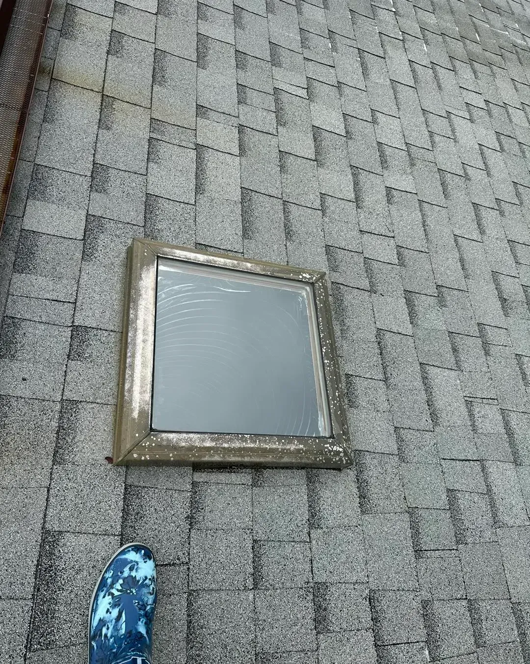 Roof cleaning in Palm Coast