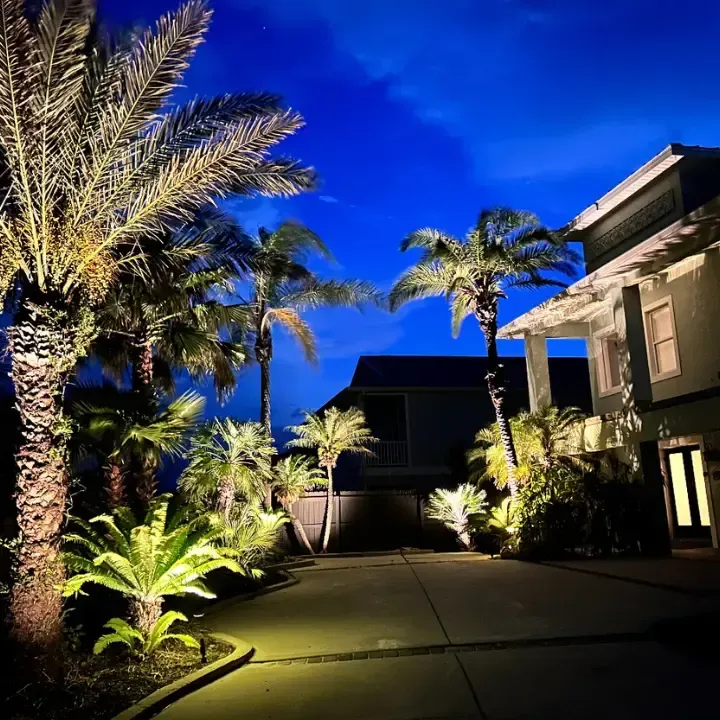 St Augustine landscaping