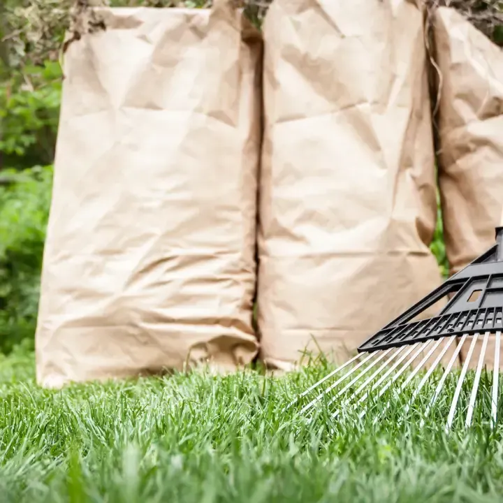 yard waste being picked pin Falling Waters, WV