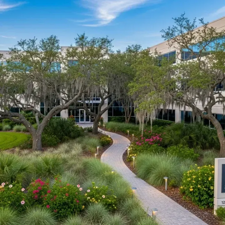 commercial landscaping st augustine