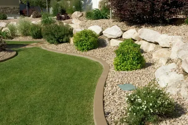 HOA landscaping st augustine