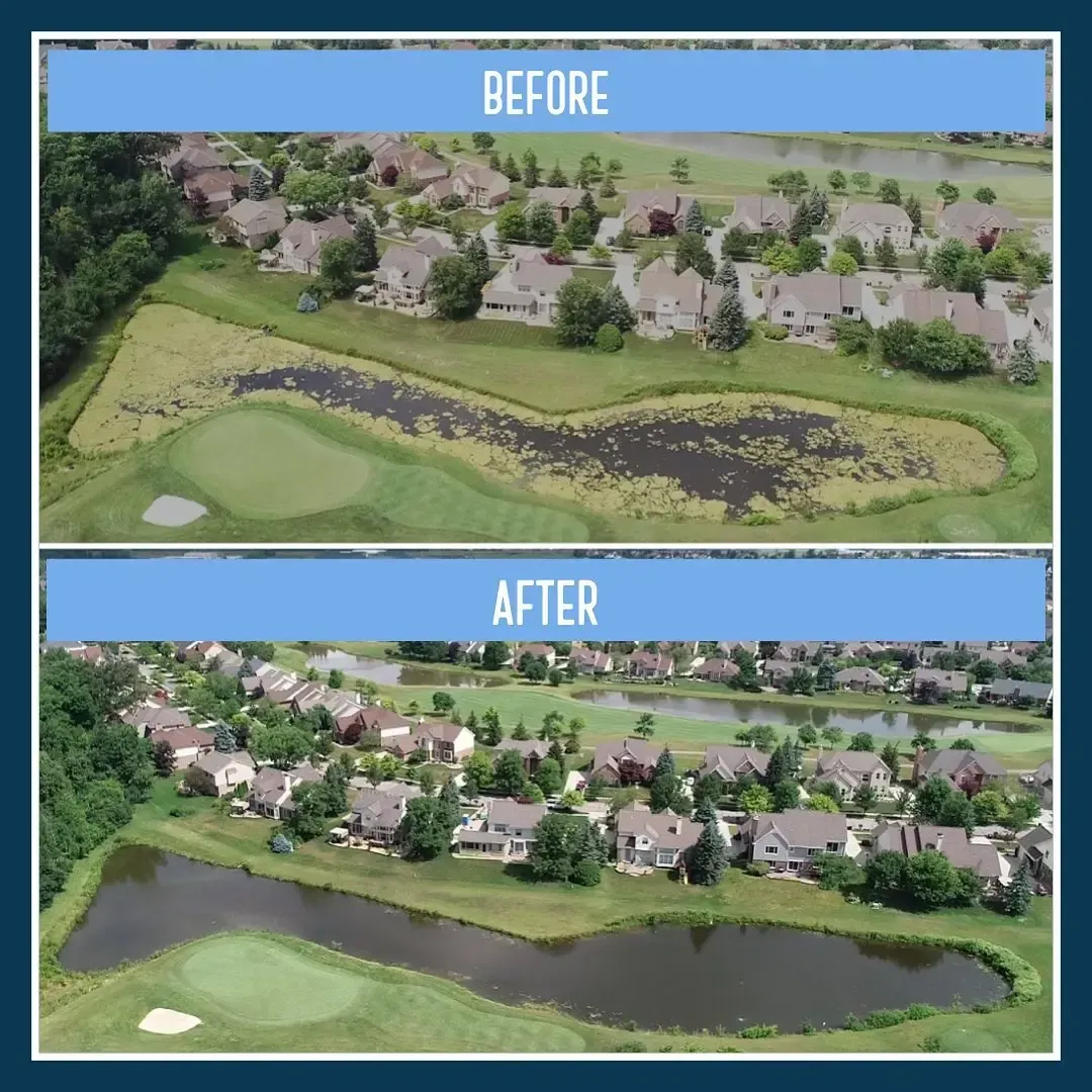 Bio Health Pod before and after