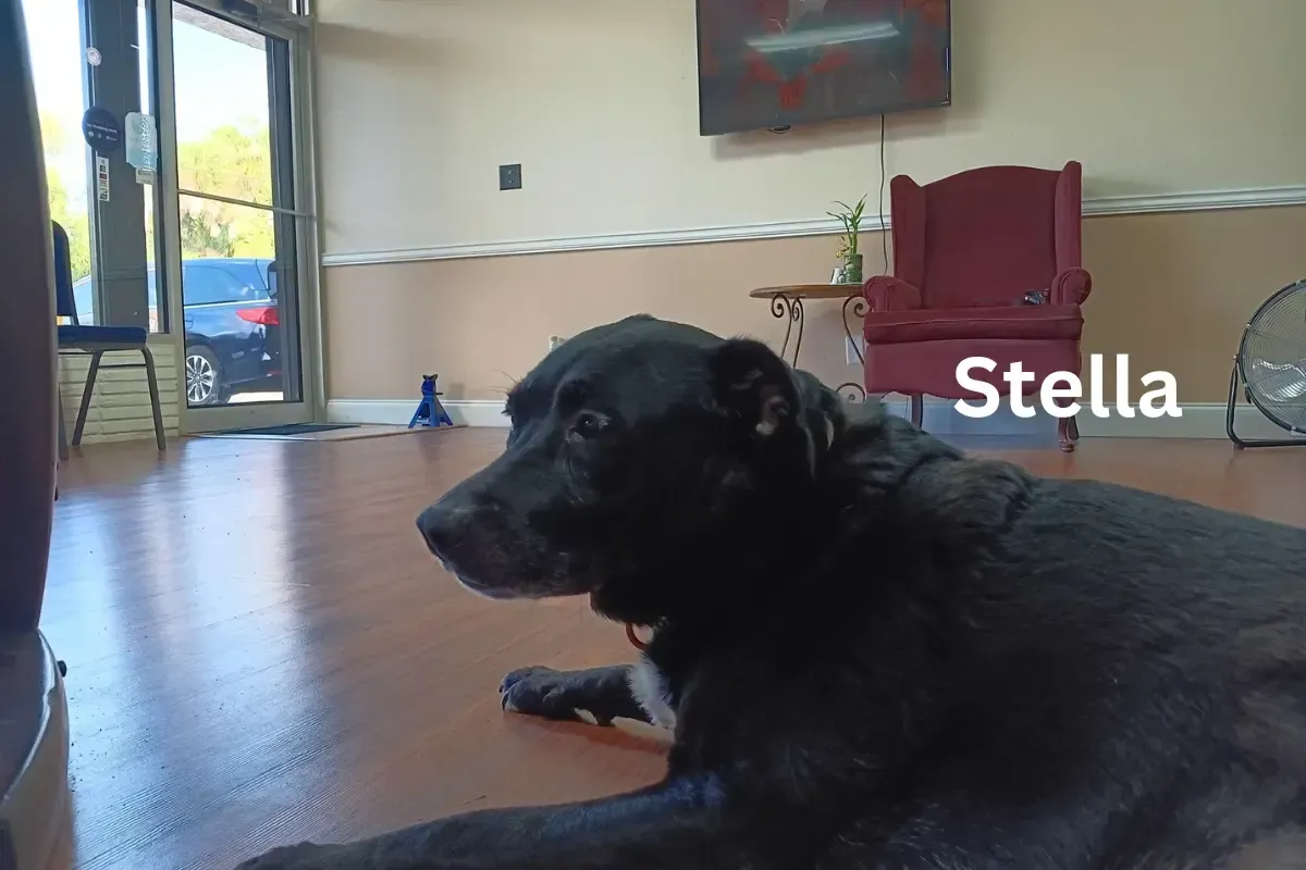 Baker Bail Bonds Cocoa team photo