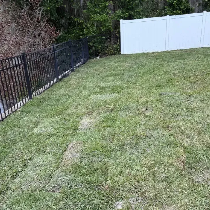 Sod delivery deltona