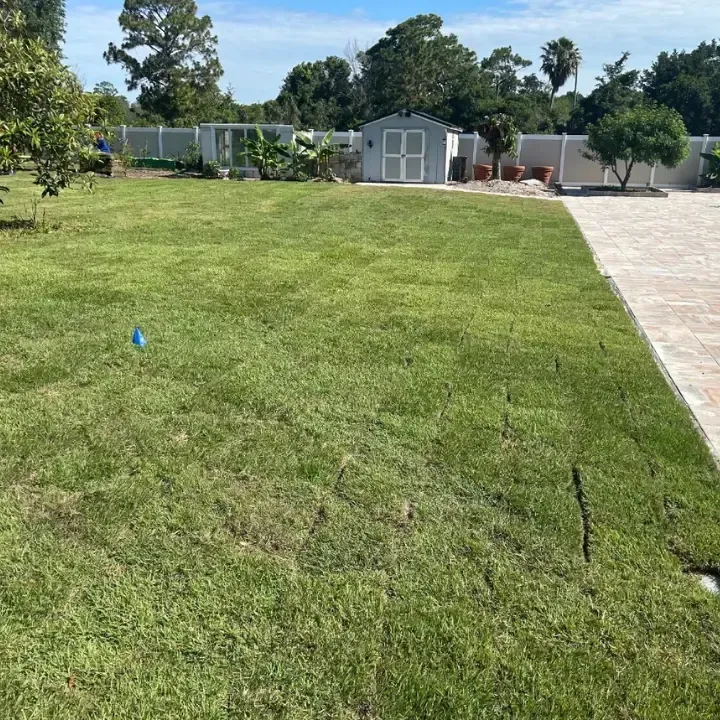 sod installation Deltona