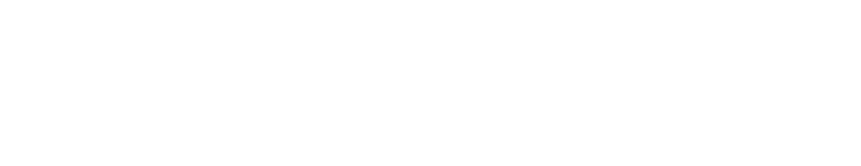 Logo Niuvix Tool