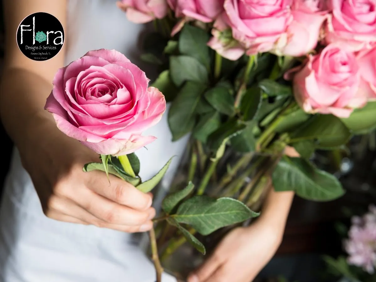 White orchids bloom against a dark background.