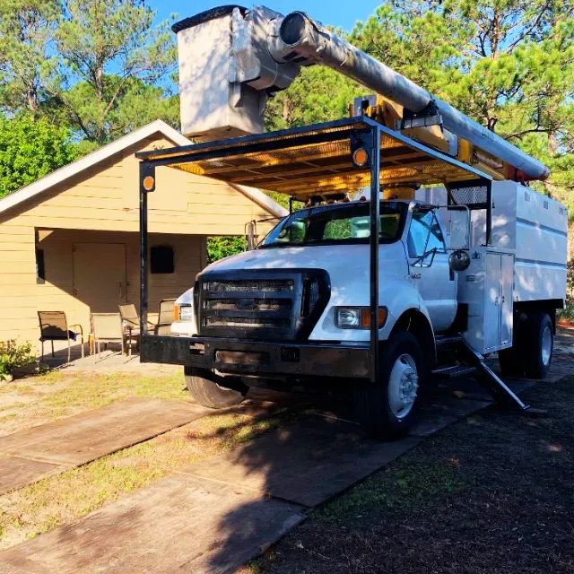 Free Tree Inspections Wilmington, NC