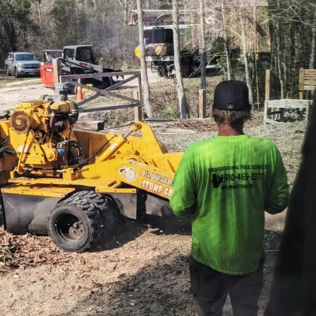 Tree Removal Wilmington, NC