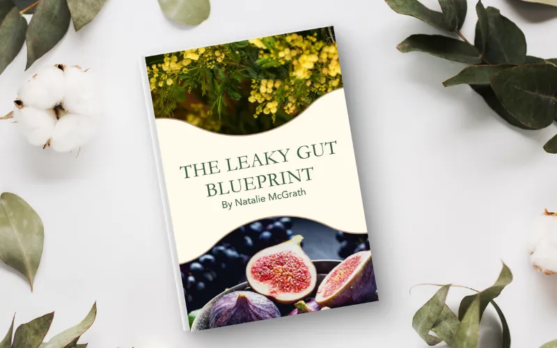 The Leaky Gut Blueprint 