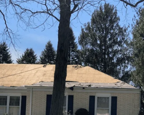  Roof Repair