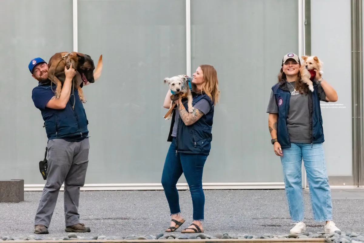 dog training private lesson