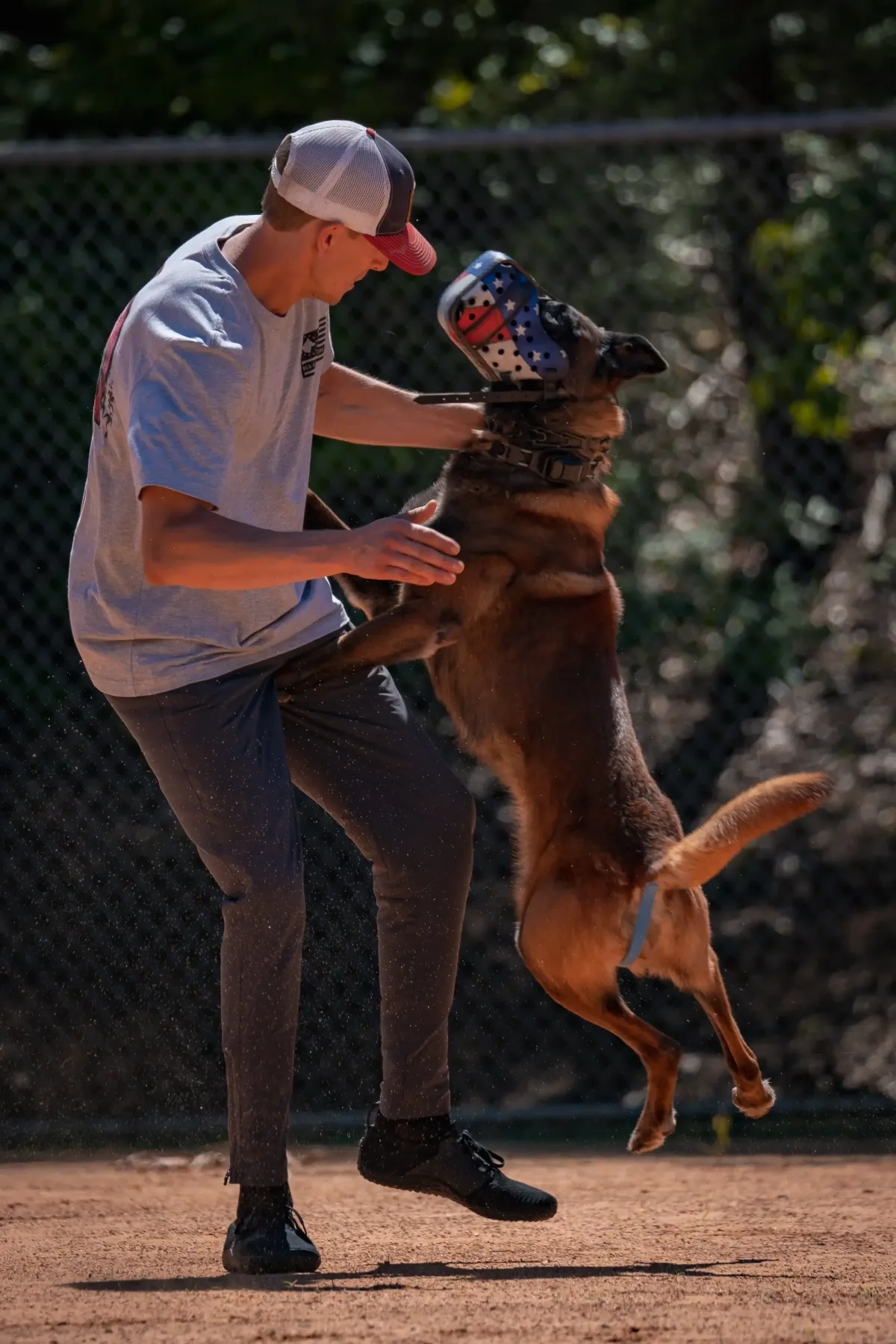 private lesson dog training