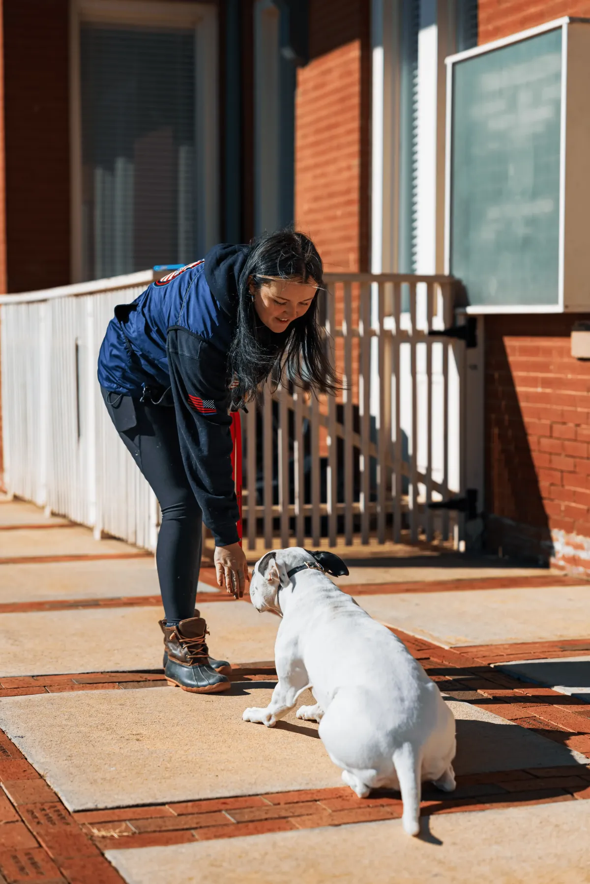 private lesson dog training