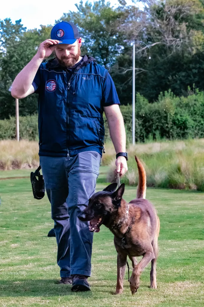 dog training private lesson