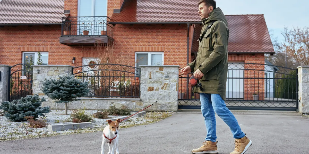 What Causes Dog Reactivity on Walks