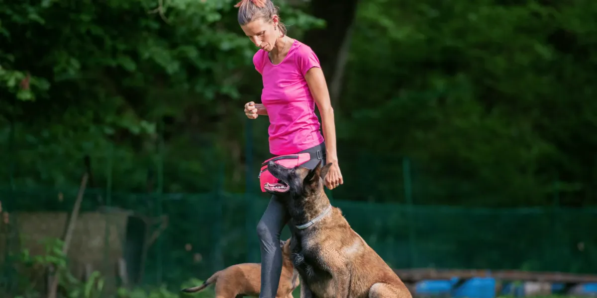 Why Dogs Struggle With Generalizing Training