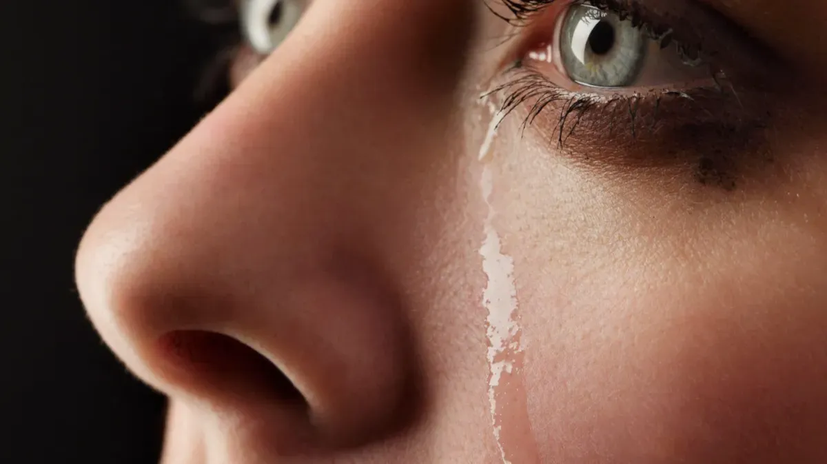 Types of Therapy for Depression | Hinterland Health Retreat